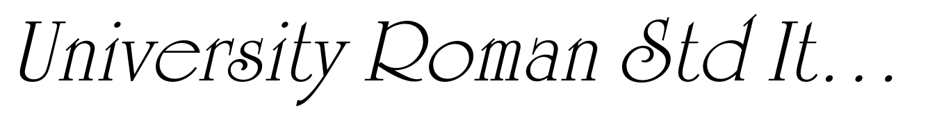 University Roman Std Italic